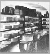 SA0442 - Rows of cheese on wooden shelves. Identified on the back., Winterthur Shaker Photograph and Post Card Collection 1851 to 1921c